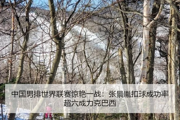 中国男排世界联赛惊艳一战：张景胤扣球成功率超六成力克巴西